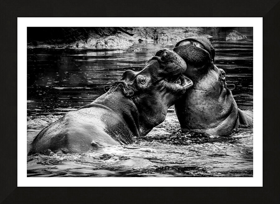 Framed Print
