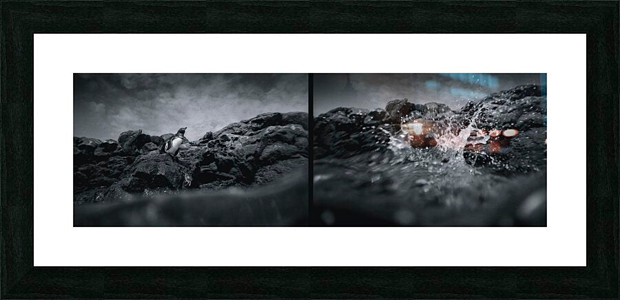 Framed Print