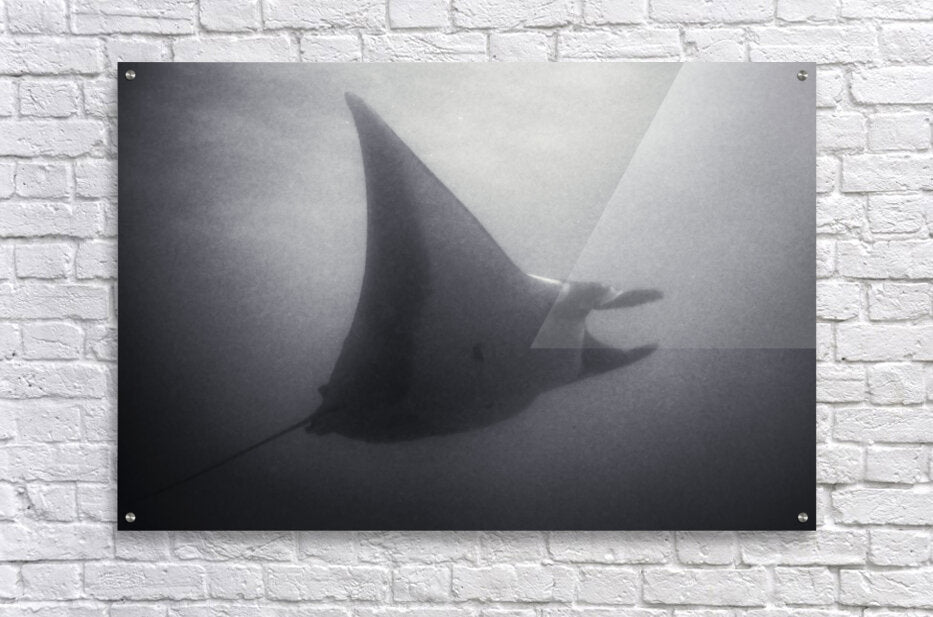 Acrylic Print
