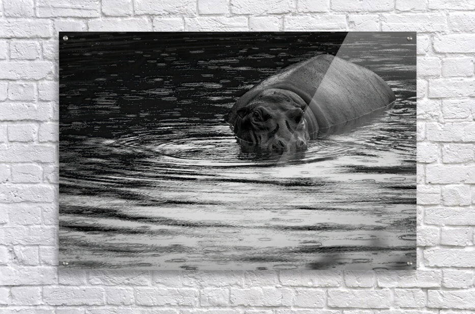 Acrylic Print