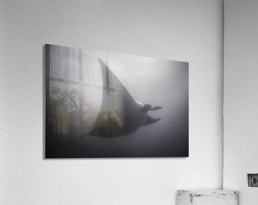 Acrylic Print