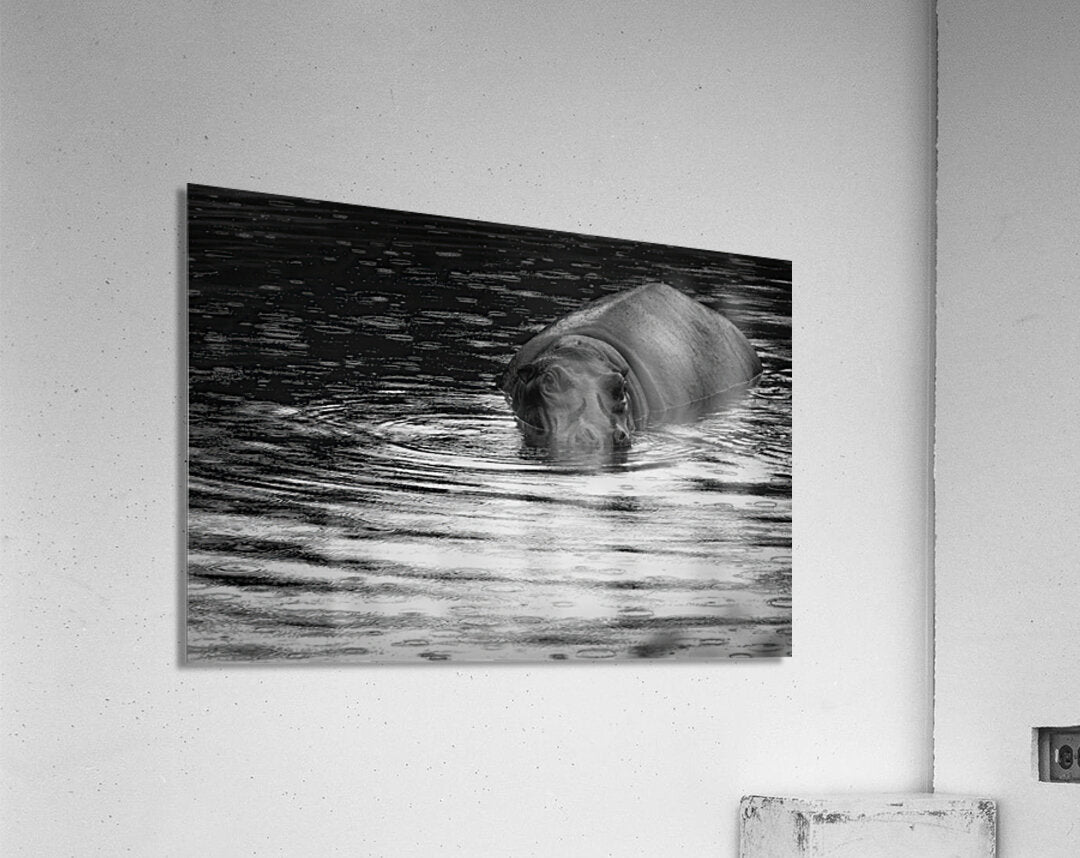 Acrylic Print