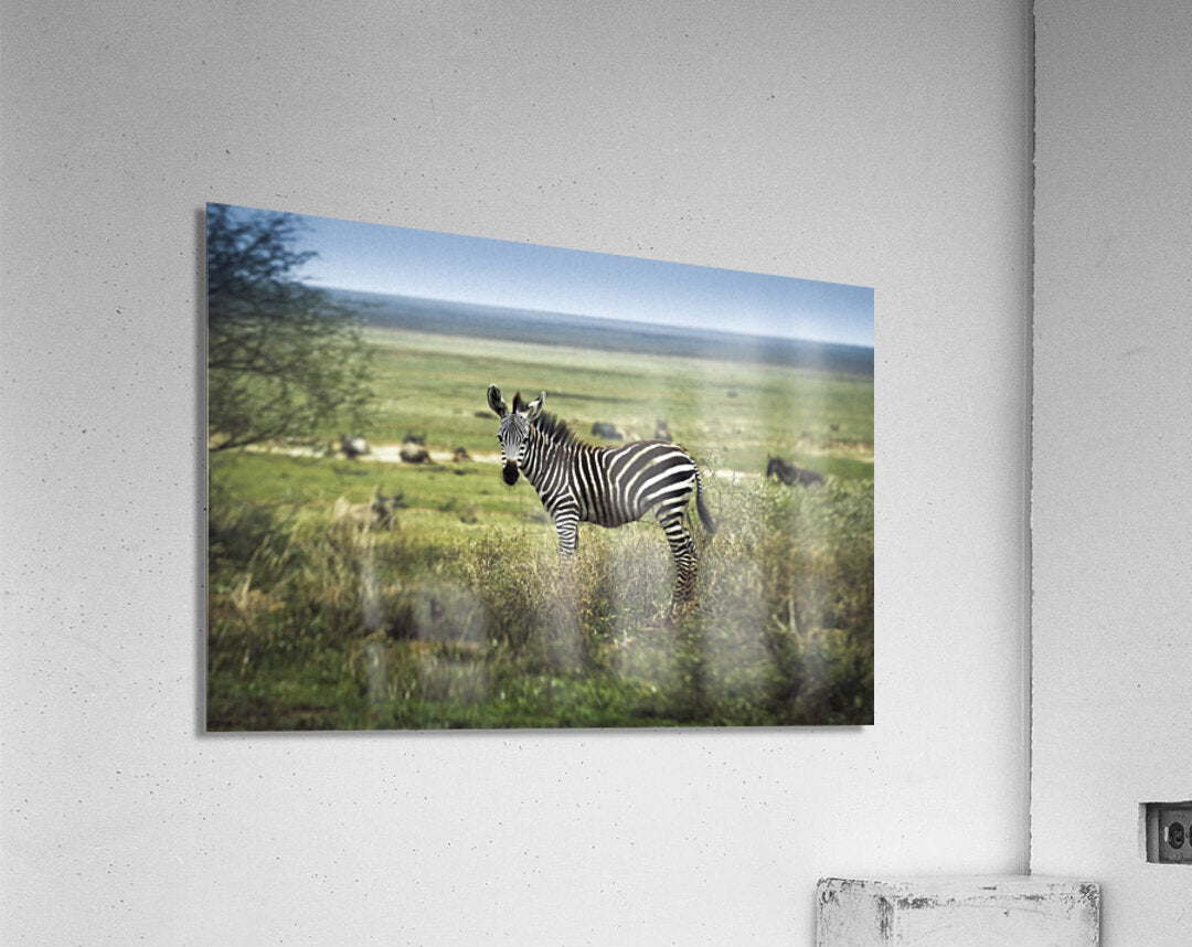 Acrylic Print