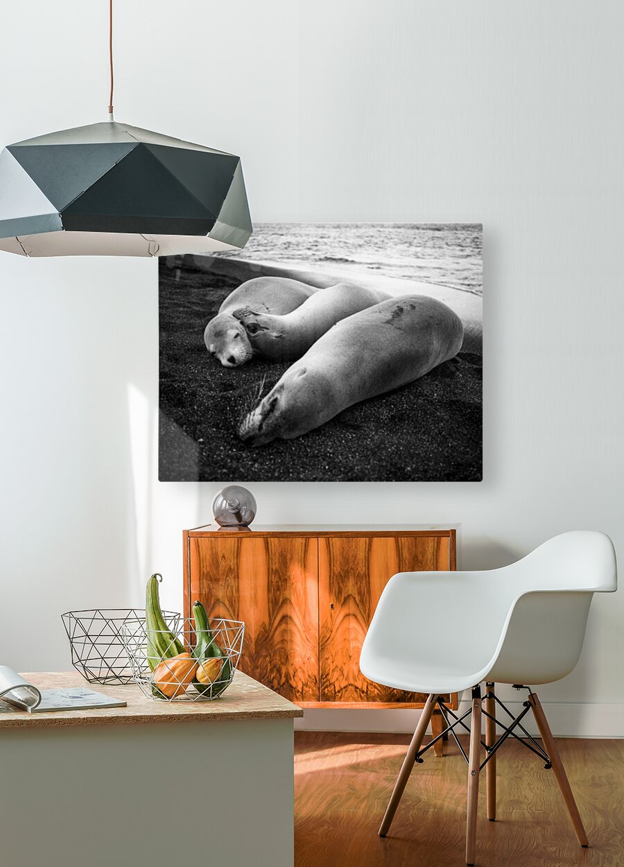 HD Sublimation Metal Print