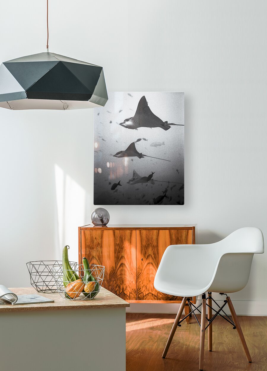 HD Sublimation Metal Print