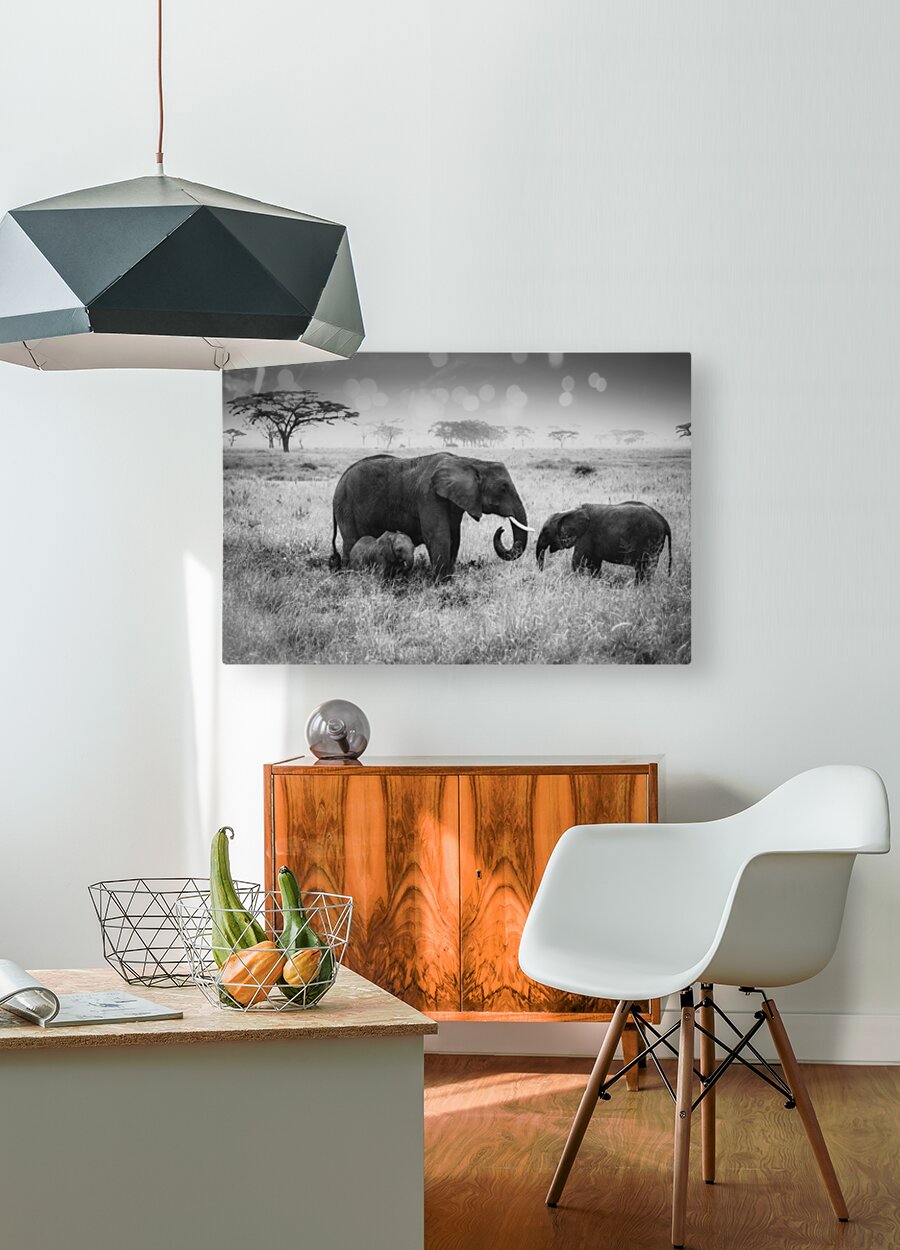 HD Sublimation Metal Print