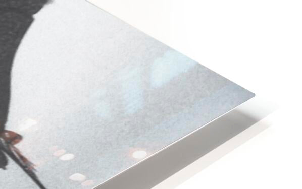 HD Sublimation Metal Print