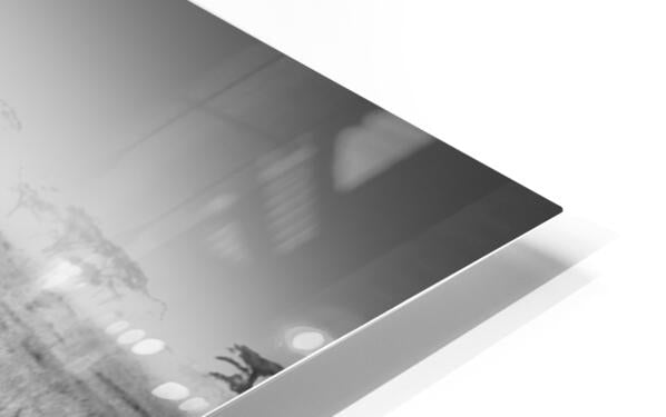 HD Sublimation Metal Print